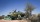 Le Polisario annonce que les bombardements seront continuels