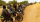 Le Mali fait face  à une grave détérioration  de la situation sécuritaire