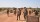 Le Mali cherche  le moyen d'endiguer  la vague terroriste
